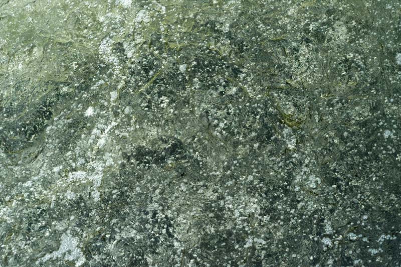 WASSER 08